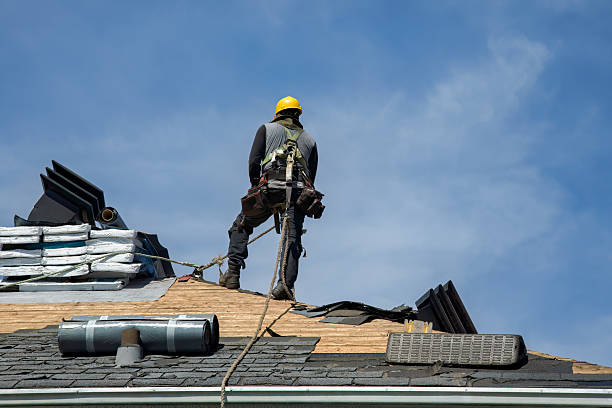 Professional Storm Damage Roof Repair technician working in Eldridge, IA